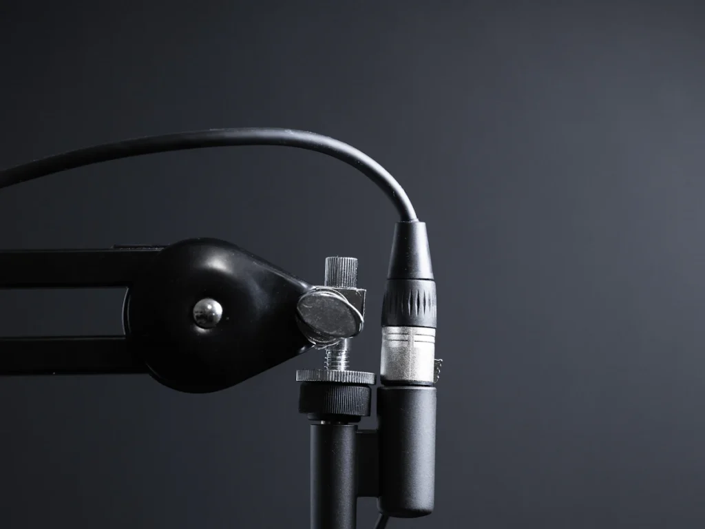 Studio microphone on a stand